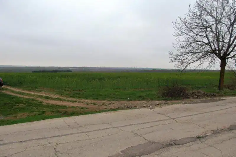 Plot in Kamenar