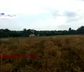 Снимка 5 — Парцел във Варна, с. Кичево