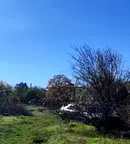 Парцел във Варна, с. Кичево