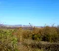 Снимка 4 — Парцел във Враца, с. Паволче