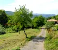 Снимка 5 — Парцел в Габрово, с. Попари