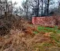 Снимка 3 — Парцел в Перник, с. Старо село