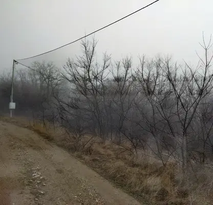 Photo 4 — Plot in Oblast Pernik, Staro Selo