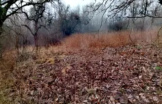 Парцел в Перник, с. Старо село