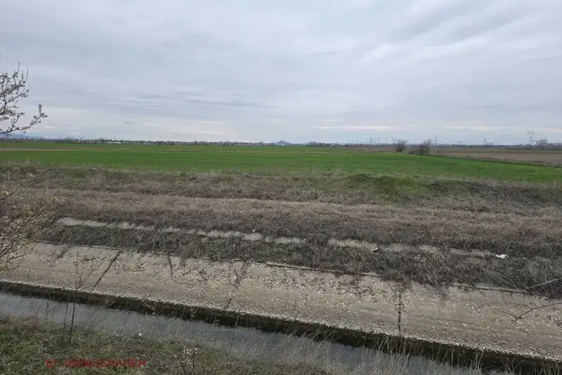 Plot in Oblast Plovdiv, Yagodovo