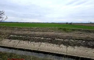 Парцел в Пловдив, с. Ягодово