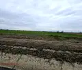 Снимка 3 — Парцел в Пловдив, с. Ягодово