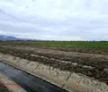 Снимка 4 — Парцел в Пловдив, с. Ягодово