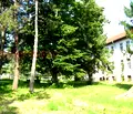 Снимка 5 — Къща в Монтана, с. Горна Лука