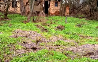Къща в Плевен, с. Тотлебен