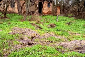 Къща в Плевен, с. Тотлебен