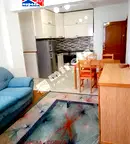 Многостаен апартамент в София, Борово