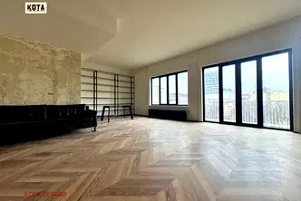 Многостаен апартамент в София, Център