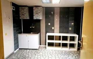 Магазин в София, Белите брези