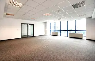 Офис в София, Бъкстон