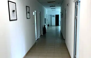 Офис в София, Орландовци