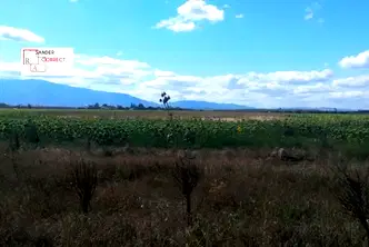 Парцел в София, Враждебна