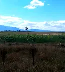 Парцел в София, Враждебна