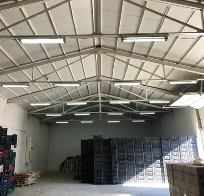Photo 5 — Warehouse in Oblast Blagoevgrad, Petrich