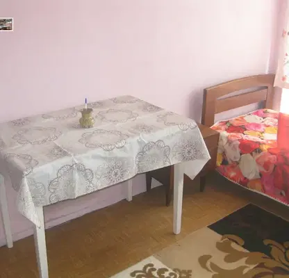 Снимка 2 — Стая в Пловдив, Каменица 1