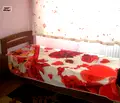 Снимка 3 — Стая в Пловдив, Каменица 1