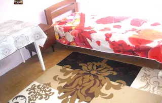 Стая в Пловдив, Каменица 1
