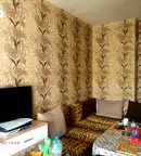 Двустаен апартамент в Плевен, Сторгозия