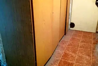 Двустаен апартамент в Перник, Тева