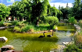 Едностаен апартамент в Бургас, к.к. Слънчев бряг