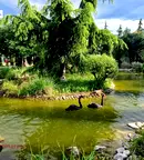 Едностаен апартамент в Бургас, к.к. Слънчев бряг