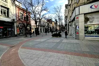 Етаж от къща в Пловдив, Център