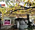 Снимка 2 — Етаж от къща в Стара Загора, Кольо Ганчев