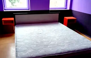 Хотел в София, Център