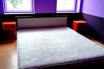 Хотел в София, Център