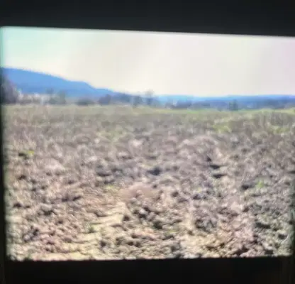 Photo 2 — Agricultural Land in Oblast Dobrich, Prilep