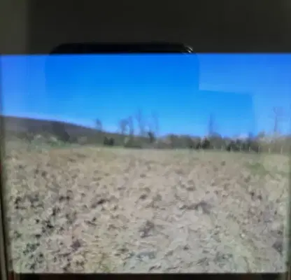 Photo 3 — Agricultural Land in Oblast Dobrich, Prilep