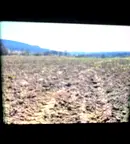 Земеделски имот в Добрич, с. Прилеп