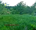 Снимка 5 — Къща в с. Панчарево