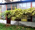 Снимка 2 — Къща в Плевен, 9-ти квартал