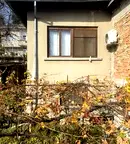 Къща във Велико Търново, Акация