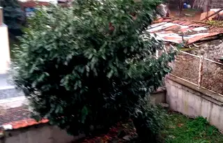 Къща в София, Бояна