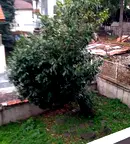 Къща в София, Бояна