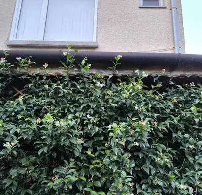 Photo 2 — House in Kyrdjali, Gledka