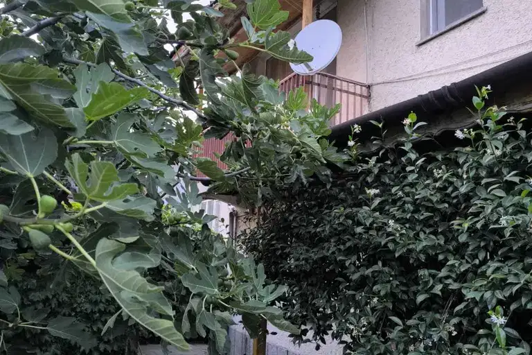 House in Kyrdjali, Gledka