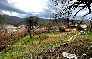 Къща в Габрово, Лисец