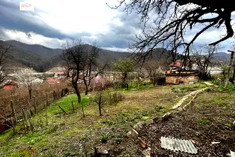 Къща в Габрово, Лисец