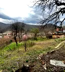 Къща в Габрово, Лисец