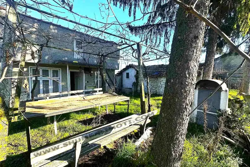 Къща в Шумен, Макак