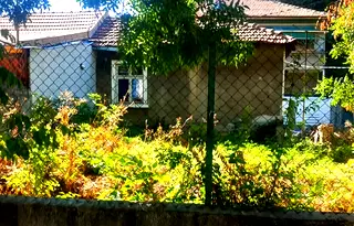 Къща в Русе, Родина 2