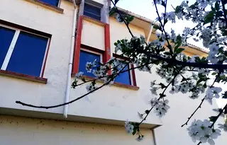 Къща в Русе, Средна кула